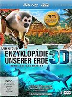 Die große Enzyklopädie unserer Erde在线观看和下载