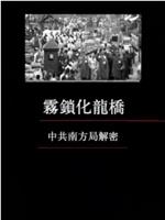 凤凰大视野：雾锁化龙桥——中共南方局解密在线观看和下载