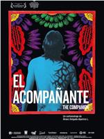 El acompañante在线观看和下载