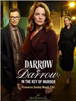 Darrow & Darrow 2在线观看和下载