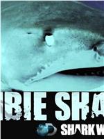 Zombie Sharks在线观看和下载