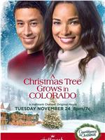 A Christmas Tree Grows in Colorado在线观看和下载