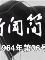 新闻简报1964年第36号在线观看和下载