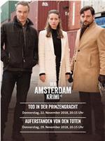 Der Amsterdam Krimi Season 2在线观看和下载