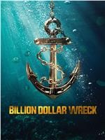 Billion Dollar Wreck Season 1在线观看和下载