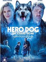 Hero Dog: The Journey Home在线观看和下载