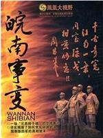 凤凰大视野：同室操戈——皖南事变解密在线观看和下载