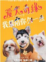 爱犬奇缘在线观看和下载