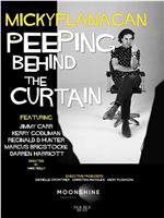 Micky Flanagan: Peeping Behind the Curtain在线观看和下载