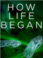 How Life Began在线观看和下载