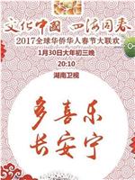 2017年全球华侨华人春节大联欢在线观看和下载