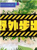 野外步出在线观看和下载