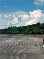 L'Iveresse d'une Oasis在线观看和下载