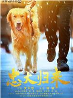 忠犬归来在线观看和下载