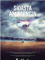 Síðasta áminningin在线观看和下载