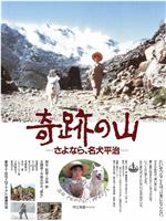 奇跡の山 さよなら、名犬平治在线观看和下载