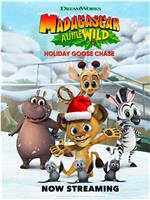 Madagascar: A Little Wild – Holiday Goose Chase在线观看和下载