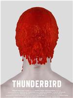 Thunderbird在线观看和下载