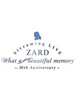 ZARD 30周年纪念演唱会在线观看和下载