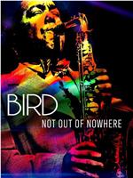 Bird: Not Out Of Nowhere在线观看和下载