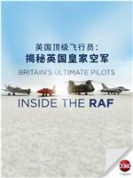 英国顶级飞行员：揭秘英国皇家空军在线观看和下载