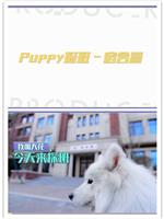 偶像练习生之PUPPY探班在线观看和下载