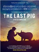 The Last Pig在线观看和下载