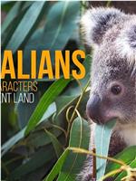 Wild Australians Season 1在线观看和下载