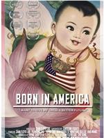 Born in America在线观看和下载