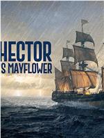 The Hector: Canada's Mayflower在线观看和下载