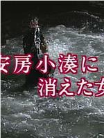 西村京太郎悬疑系列 大姐侦探·亚木子＆绿的旅情事件簿3在线观看和下载