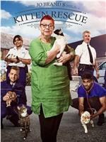 Jo Brand's Cats & Kittens Season 2在线观看和下载