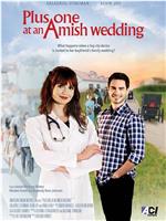 Plus One at an Amish Wedding在线观看和下载