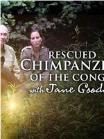 Rescued Chimpanzees of the Congo with Jane Goodall Season 1在线观看和下载