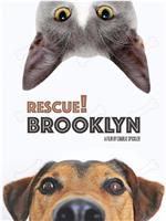 Rescue! Brooklyn在线观看和下载