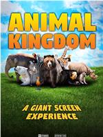 Animal Kingdom: A Tale of Six Families在线观看和下载