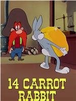 14 Carrot Rabbit在线观看和下载