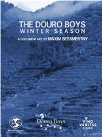 The Douro Boys: Winter Season在线观看和下载