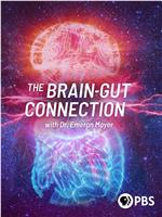 The Brain-Gut Connection with Dr. Emeran Mayer在线观看和下载