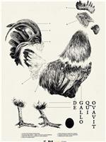 De Gallo Qui Ovavit观看