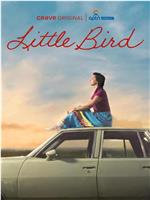 Little Bird在线观看和下载