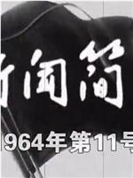 新闻简报1964年第11号在线观看和下载