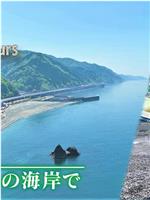 ドキュメント72時間：新潟 ヒスイ探しの海岸で在线观看和下载