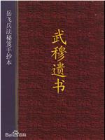 寻找武穆遗书在线观看和下载