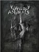 Wild Animals在线观看和下载