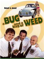 A Bug and a Bag of Weed在线观看和下载