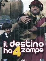 Il destino ha 4 zampe在线观看和下载