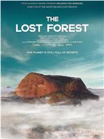 The Lost Forest在线观看和下载