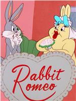 Rabbit Romeo在线观看和下载