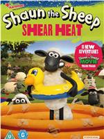 Shaun the Sheep: Shear Heat在线观看和下载